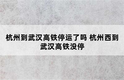 杭州到武汉高铁停运了吗 杭州西到武汉高铁没停